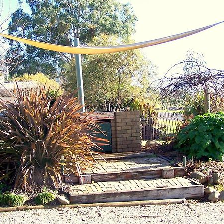 Bogong Moth Motel Маунт Бюти Екстериор снимка