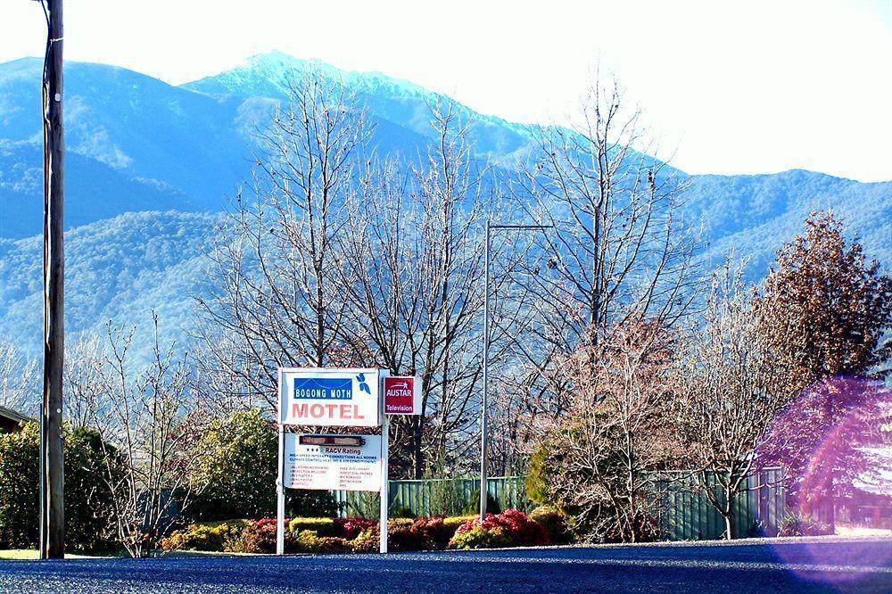 Bogong Moth Motel Маунт Бюти Екстериор снимка
