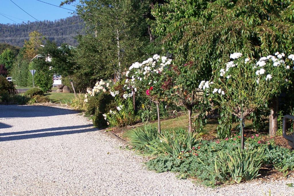 Bogong Moth Motel Маунт Бюти Екстериор снимка