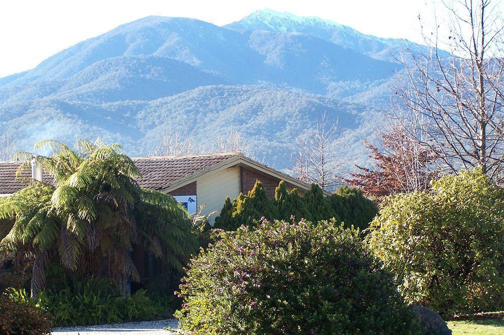 Bogong Moth Motel Маунт Бюти Екстериор снимка